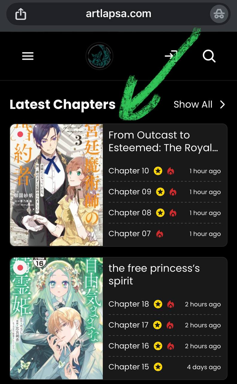 From Outcast to Esteemed: The Royal Court Magician’s Fiancée-Chapter 2